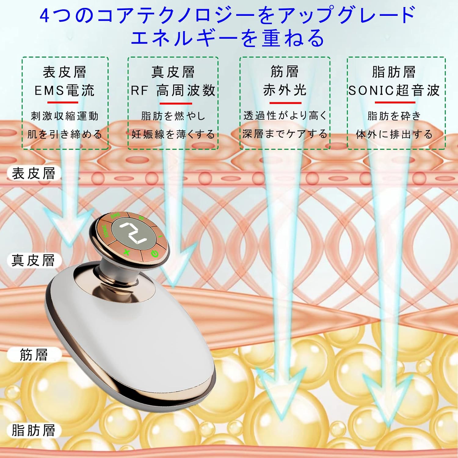 シェイプアップ 美顔器 美容器 ボディ専用 LED搭載 - 画像 (3)